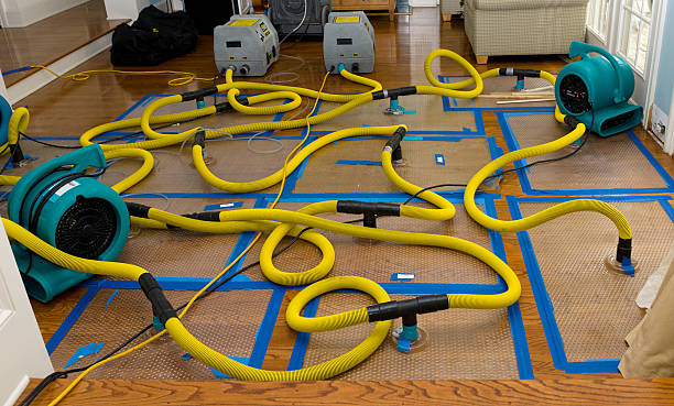 Professional Structural Drying And Dehumidification technician working in Earlton, NY